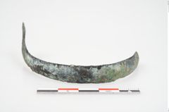 Foto von Bronzeschaukelfußreif (NHMW-PRAE-026631)